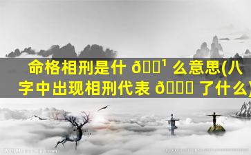 命格相刑是什 🌹 么意思(八字中出现相刑代表 🐋 了什么)